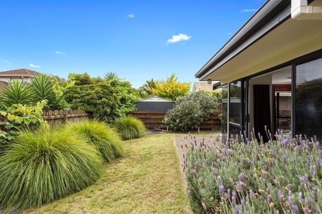 Photo of property in 16b Ngamotu Place, Mount Maunganui, 3116