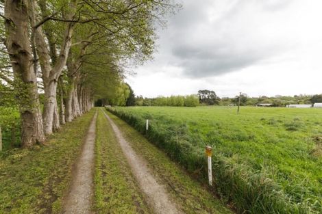 Photo of property in 1089 Saddle Road, Ashhurst, 4810