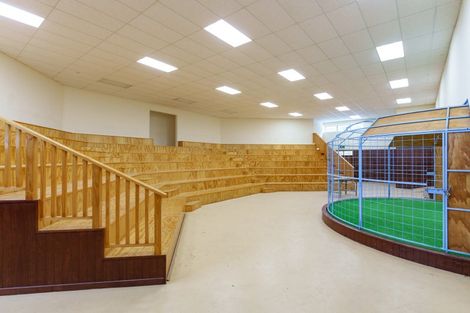 Photo of property in 53 Bushey Park Road, Bushey, Palmerston, 9482