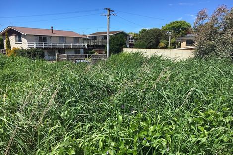 Photo of property in 199 Highcliff Road, Shiel Hill, Dunedin, 9013
