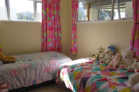 Photo of property in 207 Centennial Avenue, Thames, 3500