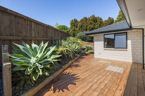 Photo of property in 14 Winspear Place, Omokoroa, 3114