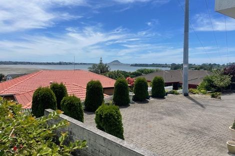 Photo of property in 345b Maungatapu Road, Maungatapu, Tauranga, 3112