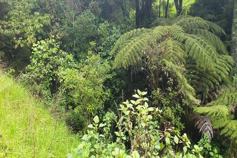 Photo of property in 1710 Kohumaru Road, Peria, Kaitaia, 0482