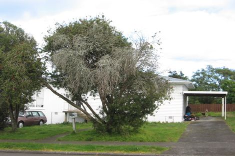Photo of property in 31 Roseanne Road, Manurewa, Auckland, 2102