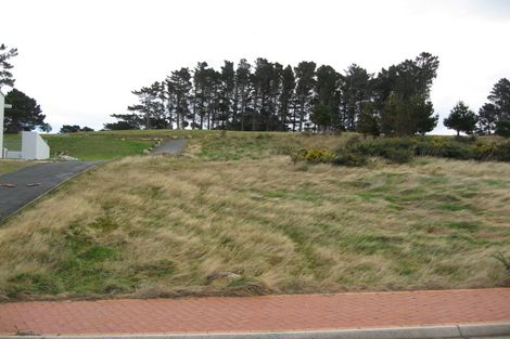 Photo of property in 24 Highgrove, Saint Clair, Dunedin, 9012