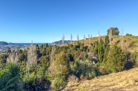 Photo of property in 113 Te Pamahue Drive, Whangamata, 3620