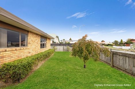 Photo of property in 11 Buick Street, Redwoodtown, Blenheim, 7201