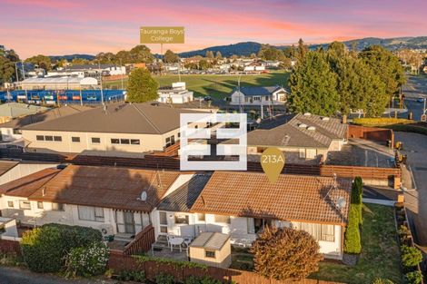 Photo of property in 213a Fifteenth Avenue, Tauranga South, Tauranga, 3112