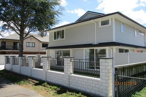 Photo of property in 51 Fifth Avenue, Enderley, Hamilton, 3214