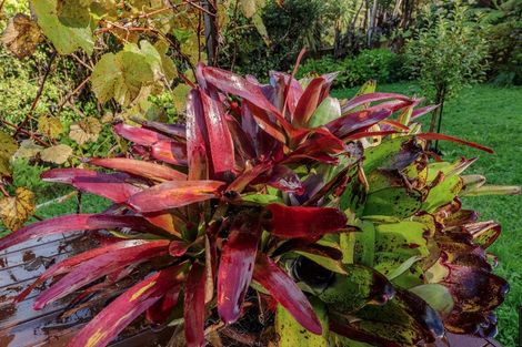 Photo of property in 299 Titirangi Road, Titirangi, Auckland, 0604