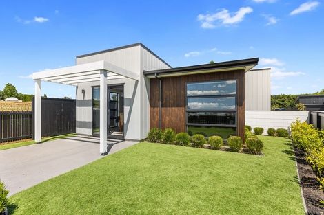 Photo of property in 16 Tanuku Lane, Te Puke, 3119