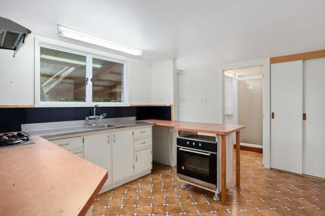 Photo of property in 131e Hogg Road, Rotoma, Whakatane, 3192