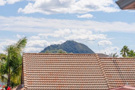 Photo of property in 65a Campbell Road, Mount Maunganui, 3116