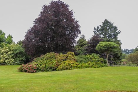 Photo of property in Sundrum, 52 Rae Road, Woodbury, Geraldine, 7991