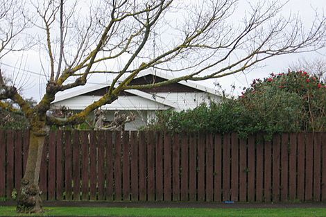 Photo of property in 26 Sussex Street, Levin, 5510