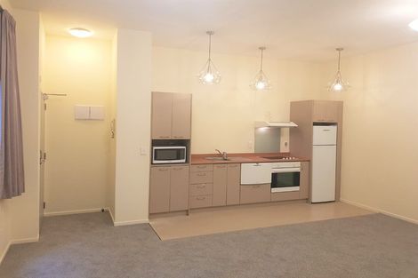 Photo of property in Dixon Towers, 22/115 Dixon Street, Te Aro, Wellington, 6011