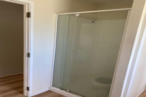 Photo of property in 13 Riley Place, Fitzroy, Hamilton, 3206