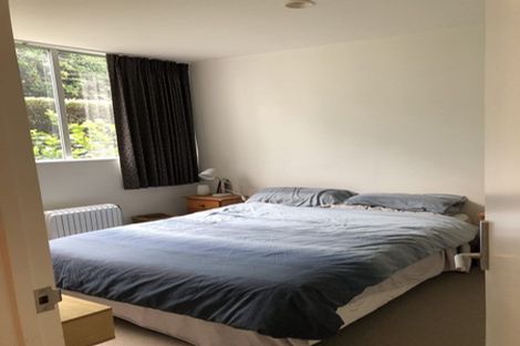 Photo of property in 207/22 Fisher-point Drive, Auckland Central, Auckland, 1010