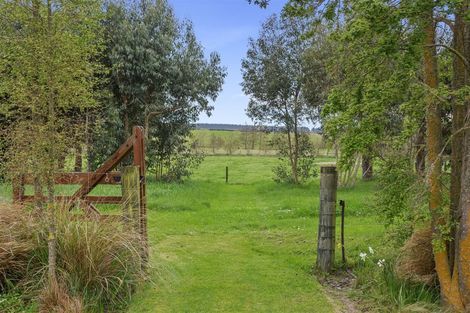 Photo of property in 196 Beatties Road, Ashley, Rangiora, 7477