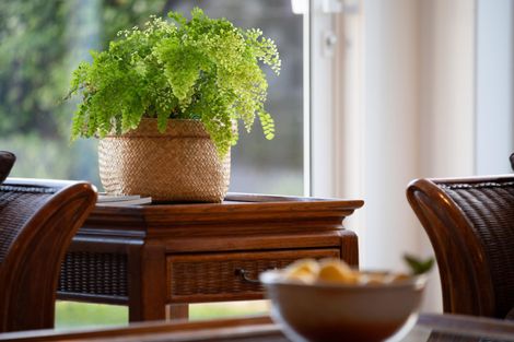 Photo of property in 13 Pinehurst Crescent, Morrinsville, 3300