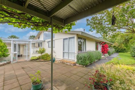 Photo of property in 16 Mckeefry Avenue, Greenmeadows, Napier, 4112