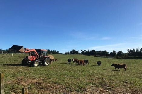 Photo of property in 1302 Pongakawa Bush Road, Pongakawa, Te Puke, 3186