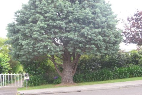 Photo of property in 29 Mcdonnell Street, Omokoroa, 3114