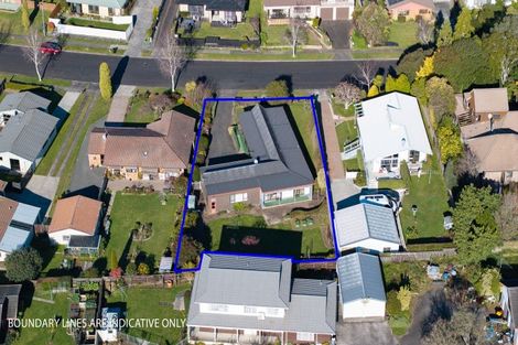 Photo of property in 9 Kowhai Avenue, Morrinsville, 3300