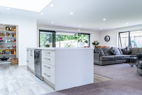 Photo of property in 1 Sudeng Street, Levin, 5510