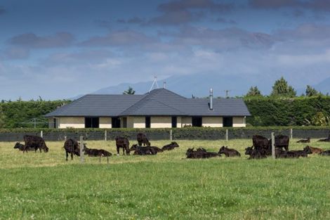 Photo of property in 307 Waimarama Road, Methven, Rakaia, 7782