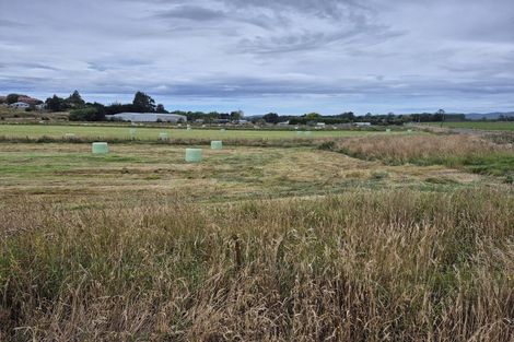 Photo of property in 223 Kaitangata Highway, Stirling, 9231