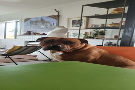 Photo of property in 7 Dublin Street, Pukekohe, 2120