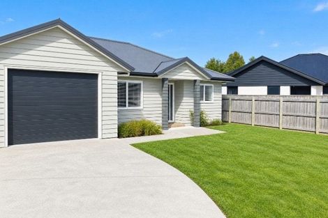 Photo of property in 36 Tuatahi Avenue, Solway, Masterton, 5810