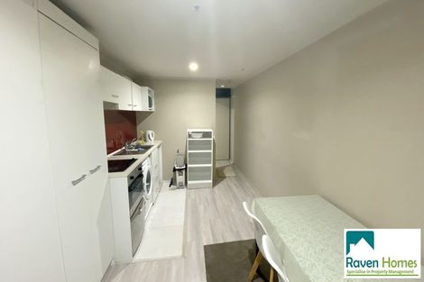 Photo of property in Waldorf Bankside Apartments, 3e/8 Bankside Street, Auckland Central, Auckland, 1010