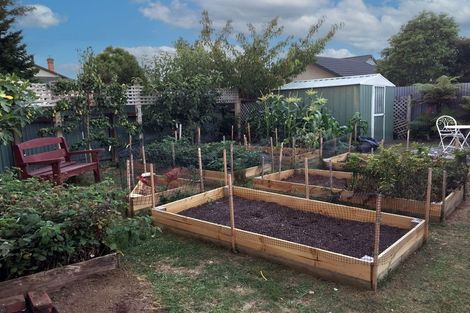 Photo of property in 141 Limbrick Street, Terrace End, Palmerston North, 4410