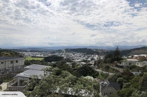 Photo of property in 51 Farnham Street, Mornington, Wellington, 6021