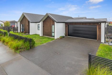 Photo of property in 22 Naismith Street, Chartwell, Hamilton, 3210