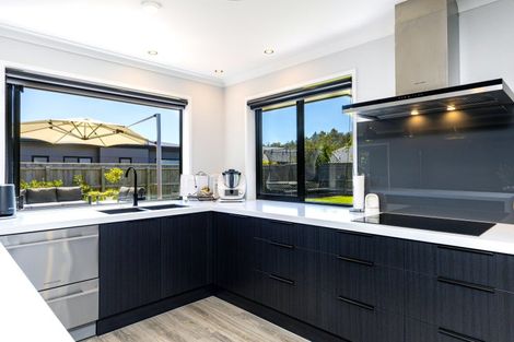 Photo of property in 243 Taylor Pass Road, Witherlea, Blenheim, 7201