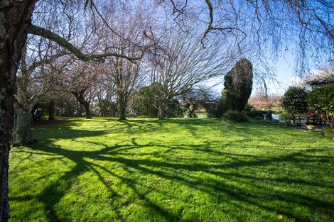 Photo of property in 109 Shirriffs Road, Awapuni, Palmerston North, 4412