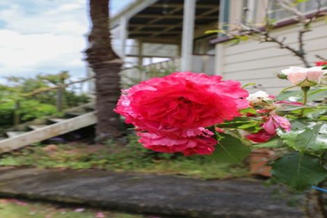 Photo of property in 18 Puriri Street, Te Aroha, 3320