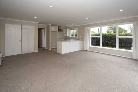 Photo of property in 38 Percy Street, Phillipstown, Christchurch, 8011