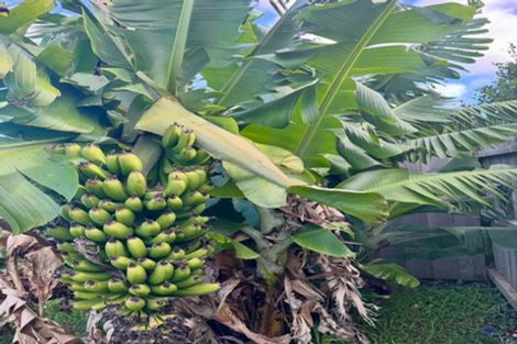 Photo of property in 12a Kowhai Park Road, Maunu, Whangarei, 0110