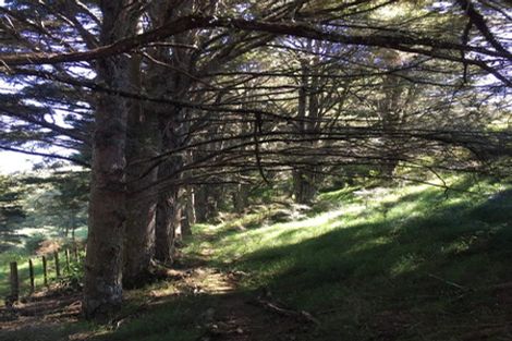 Photo of property in 538d Whangaripo Valley Road, Whangaripo, Wellsford, 0972