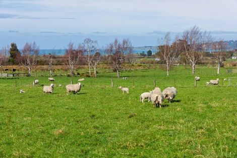 Photo of property in 137 Harnetts Road, Kaikoura Flat, Kaikoura, 7371