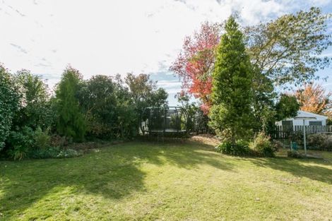 Photo of property in 407 Frederick Street, Mahora, Hastings, 4120