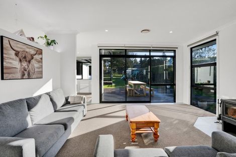 Photo of property in 13 Biron Place, Stratford, 4332