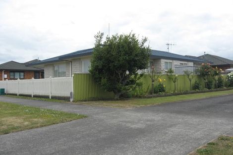Photo of property in 121 Warwick Street, Feilding, 4702