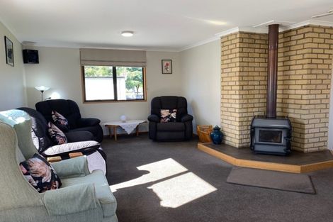 Photo of property in 17 Linrosa Place, Cromwell, 9310