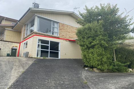 Photo of property in 103 Aurora Terrace, Hillcrest, Hamilton, 3216